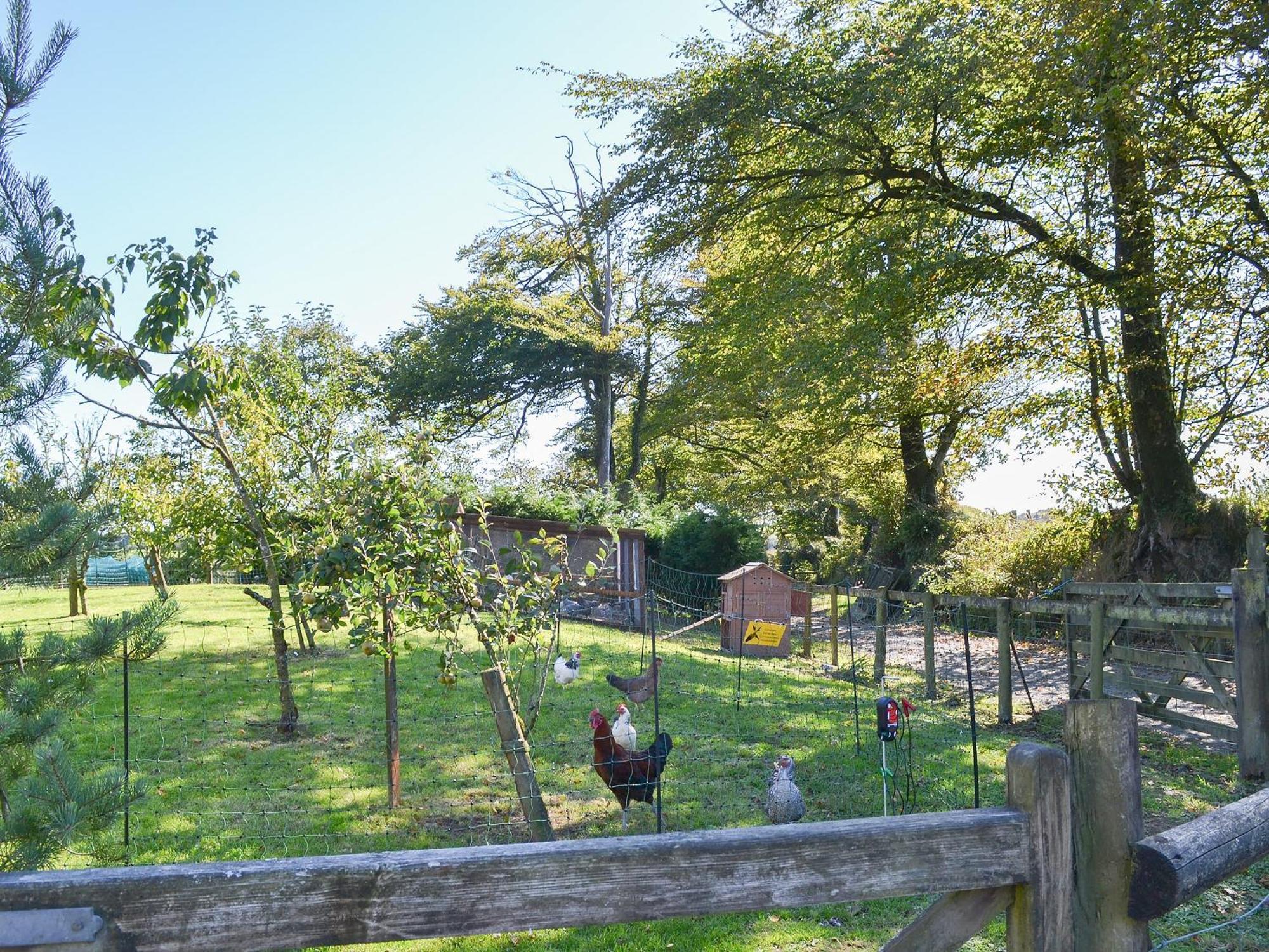 Cowslip - 23653 Villa Bradworthy Exterior foto